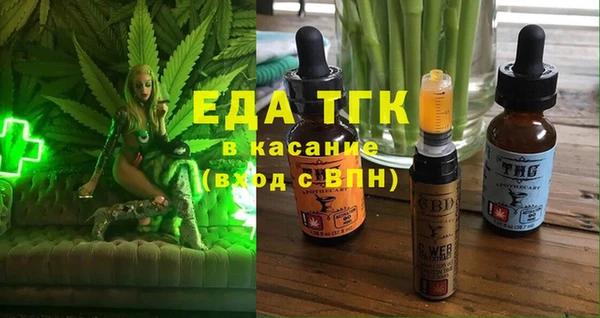 тгк Абаза