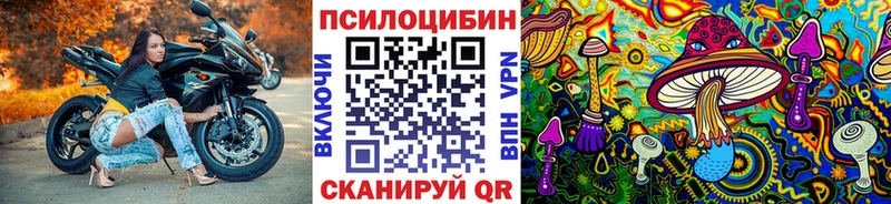 наркошоп  Прокопьевск  Галлюциногенные грибы Psilocybine cubensis 